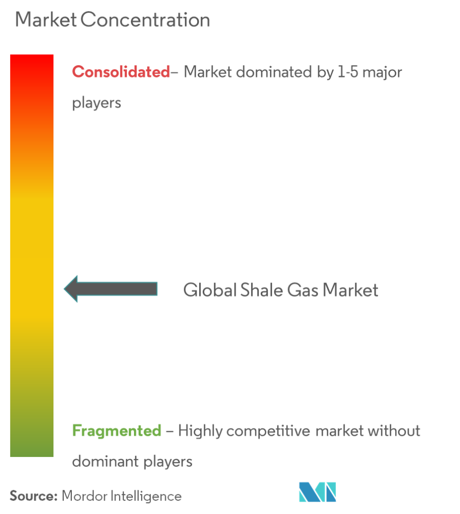 Shale Gas Market Concentration